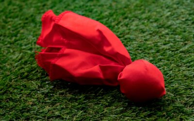 The Number One Red Flag in Business (Emotion!)
