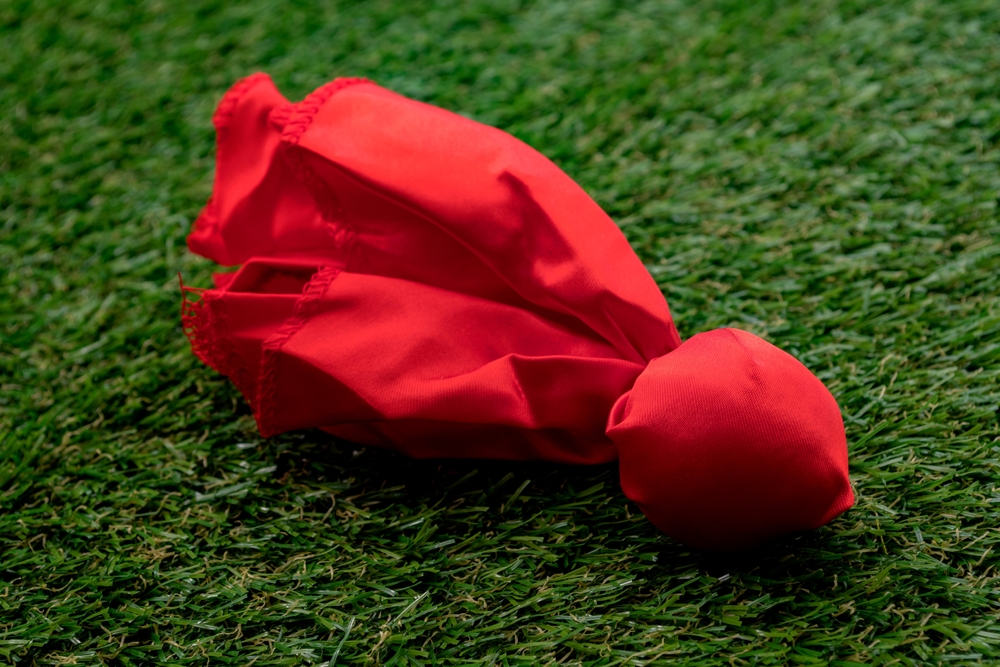 The Number One Red Flag in Business (Emotion!)