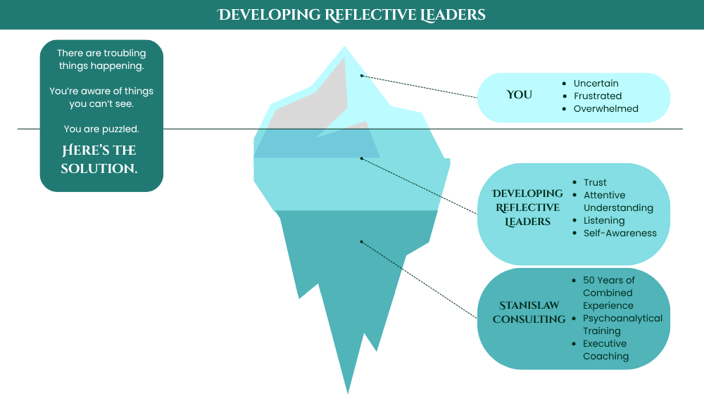 Developing Reflective Leaders: A Fresh, Dynamic Approach to Executive Coaching